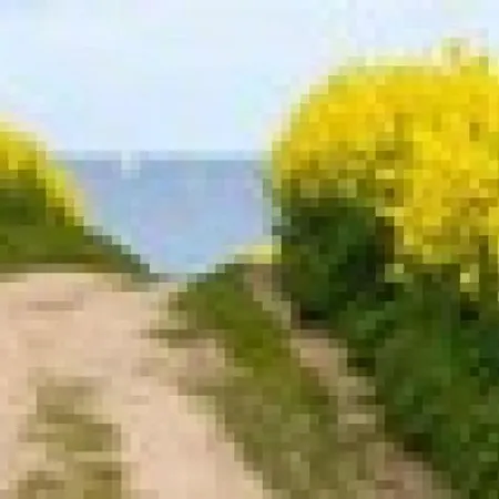Traumlage Am Ostseestrand - Silbermowe 1 *